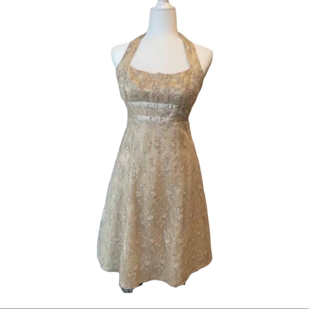 Zum Zum Vintage Champaign Lace Cocktail Dress 3/4